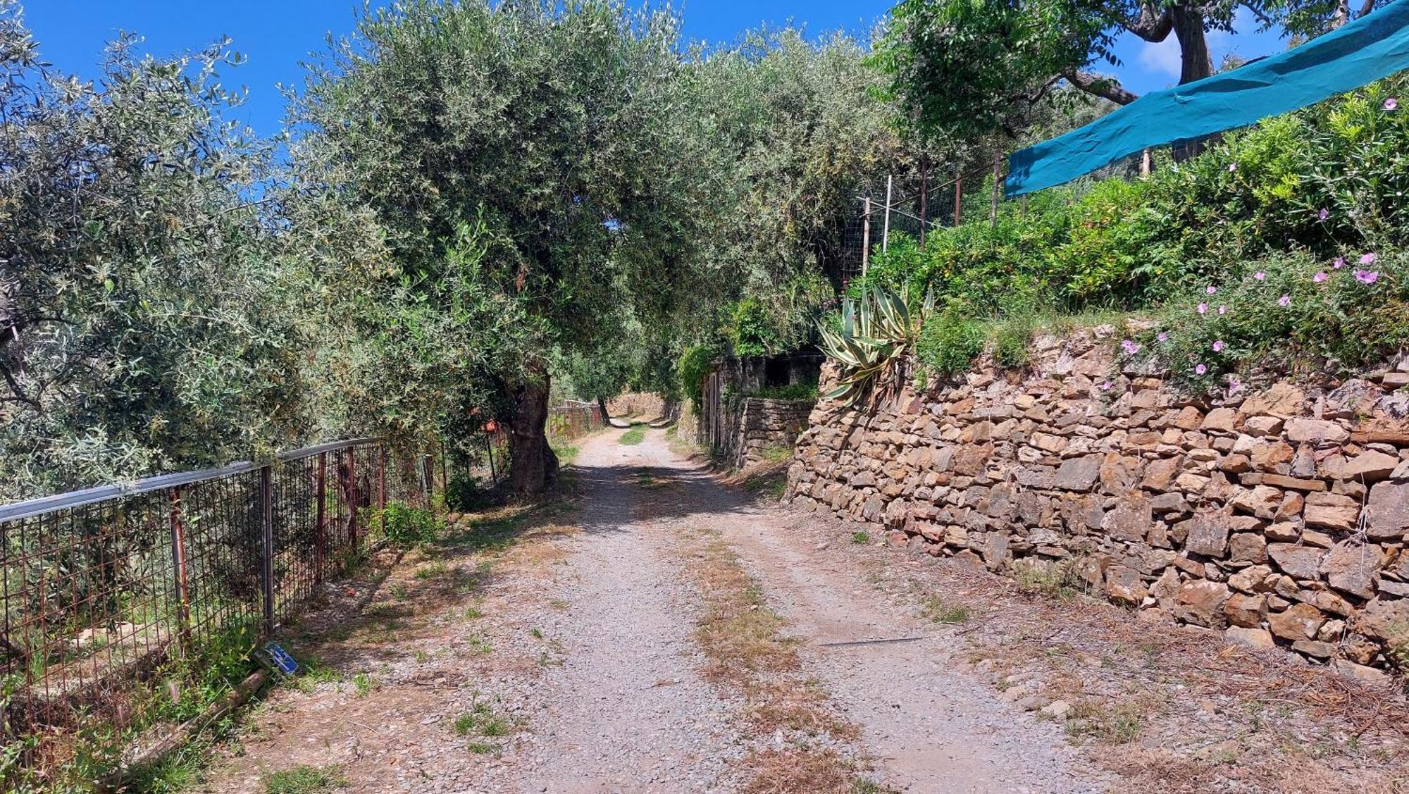 Il Nido Del Viaggiatore Vallebona Exterior foto