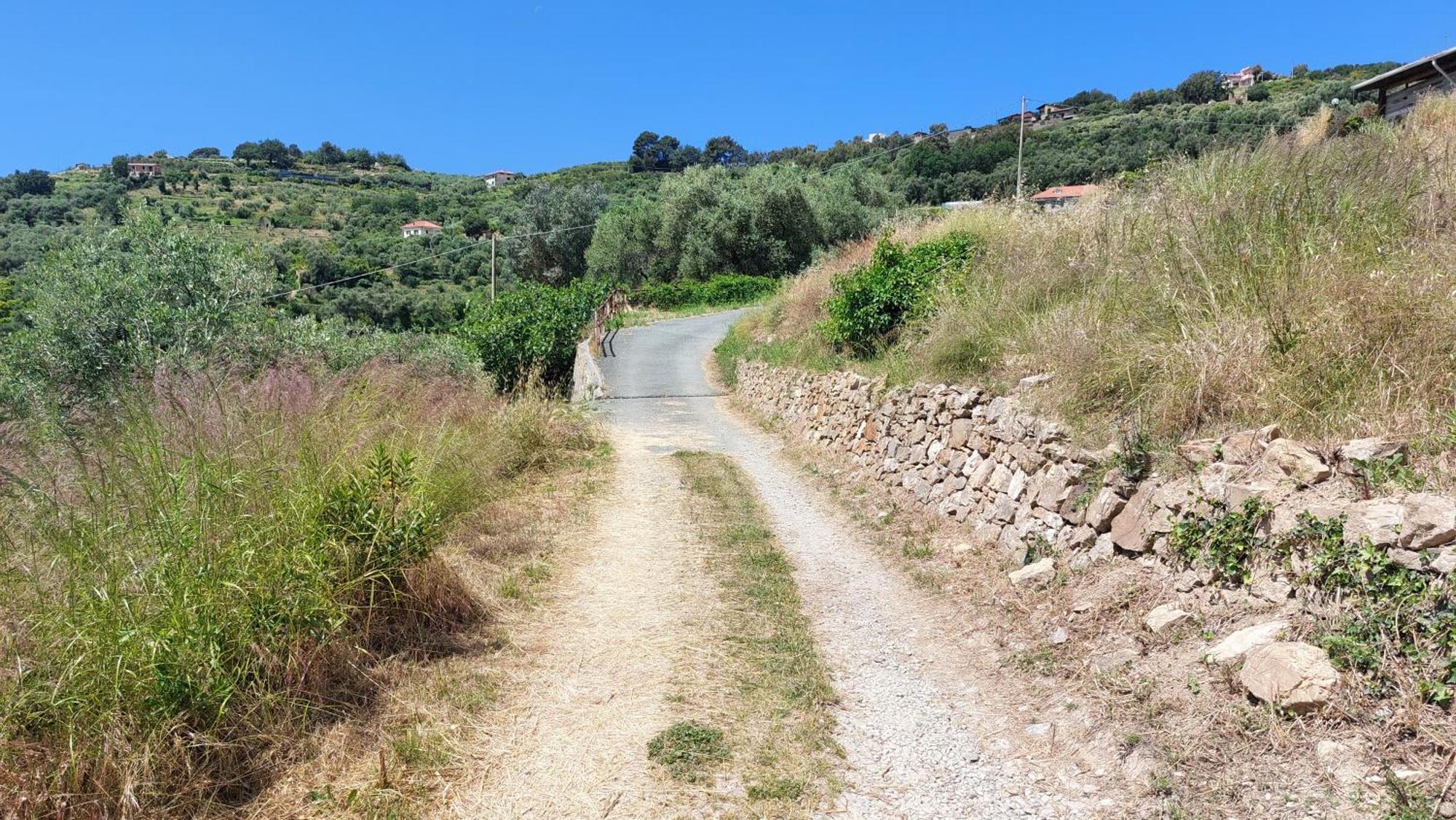 Il Nido Del Viaggiatore Vallebona Exterior foto