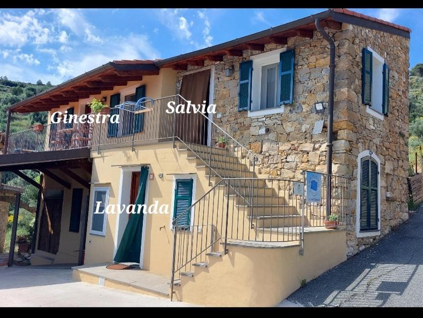 Il Nido Del Viaggiatore Vallebona Exterior foto